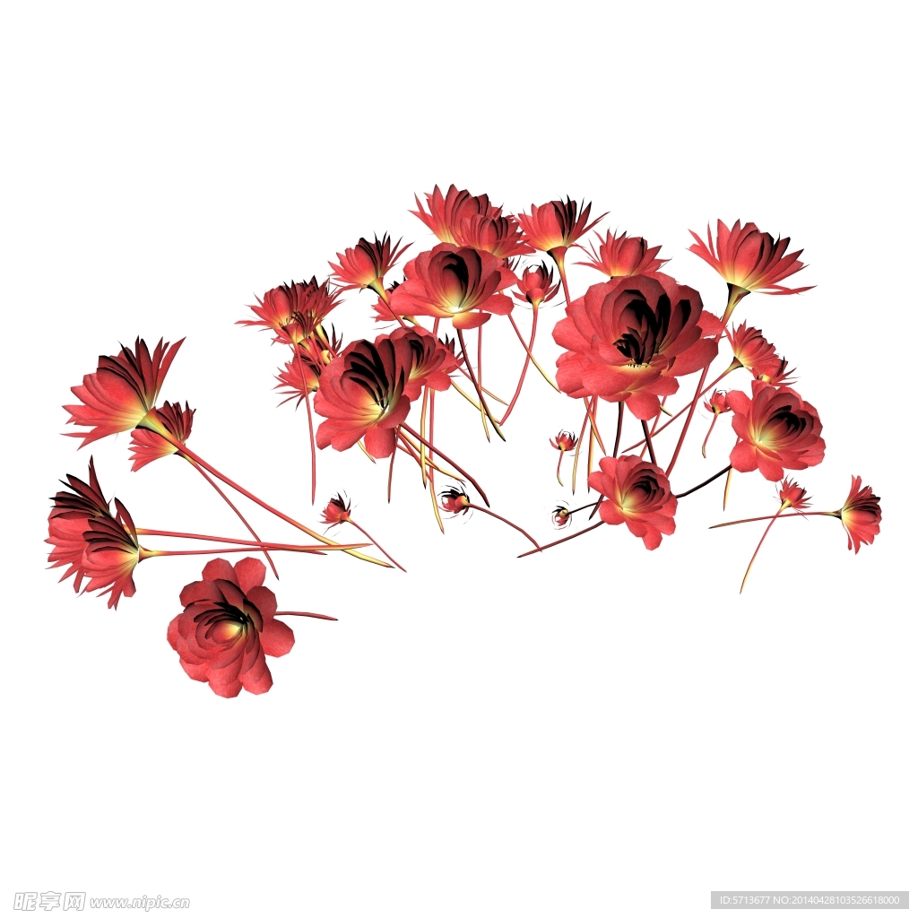 鲜花效果图