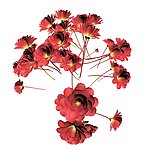 鲜花效果图