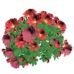 鲜花效果图