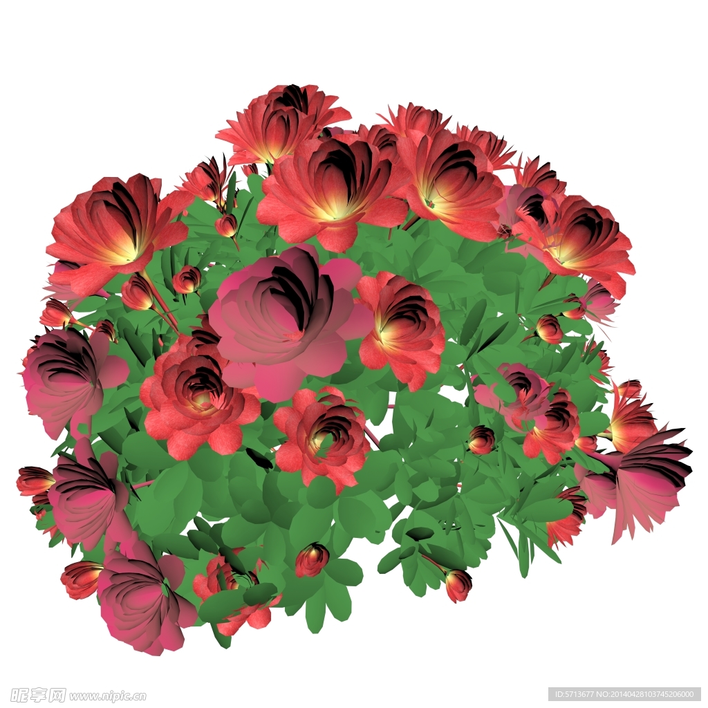 鲜花效果图