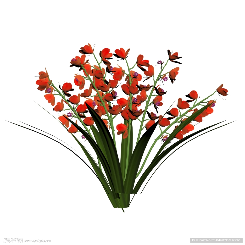鲜花效果图