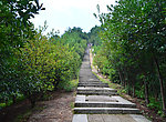 白云山风景