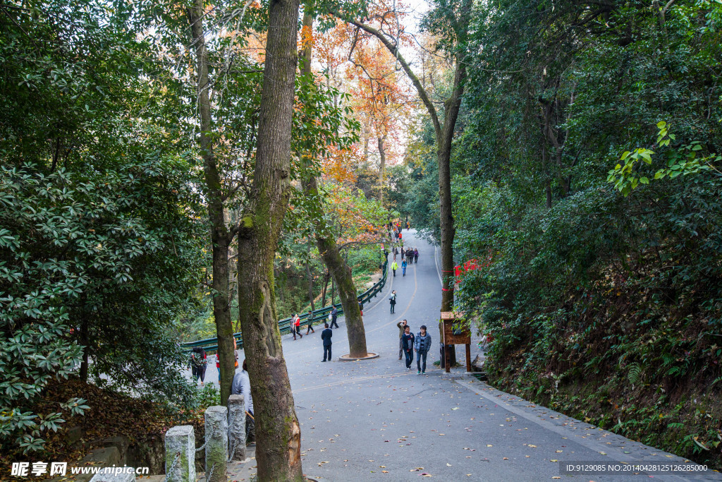 岳麓山