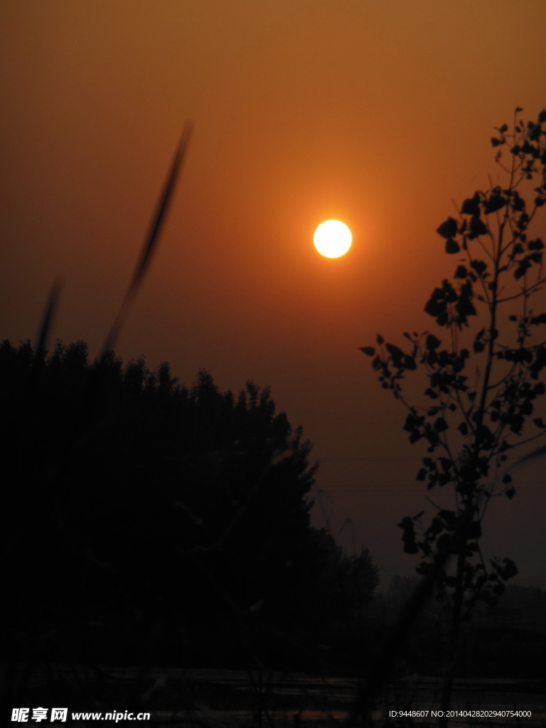 夕阳