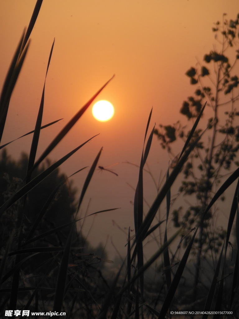 夕阳
