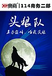 头狼队队牌