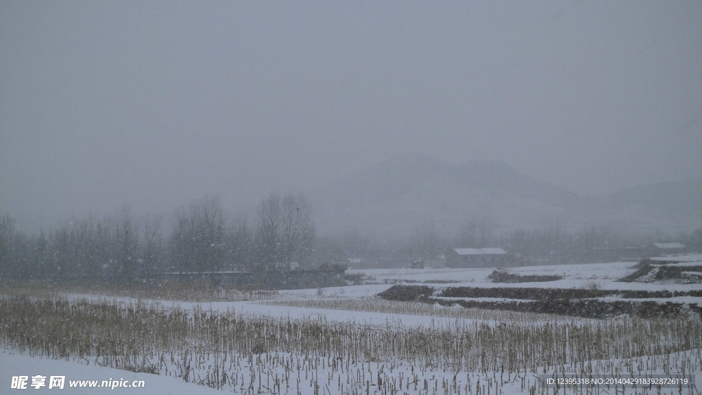 雪花纷落