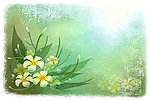 花纹背景