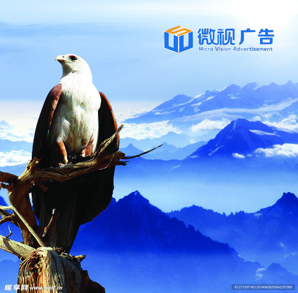 企业文化背景墙
