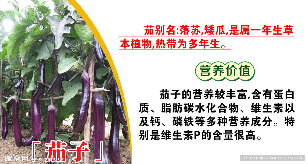 茄子
