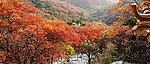 石门红叶