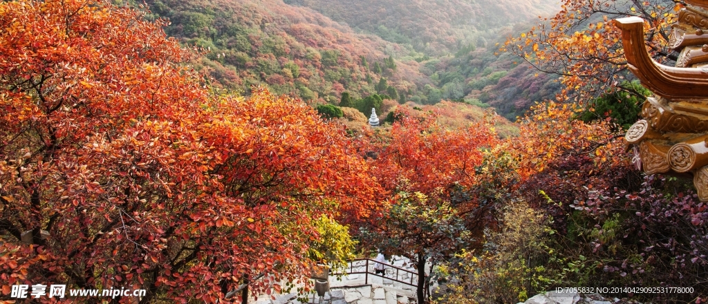 石门红叶