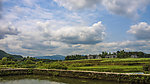 宁静的田野