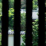 香港志莲净苑