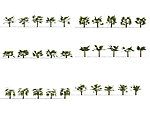棕榈树