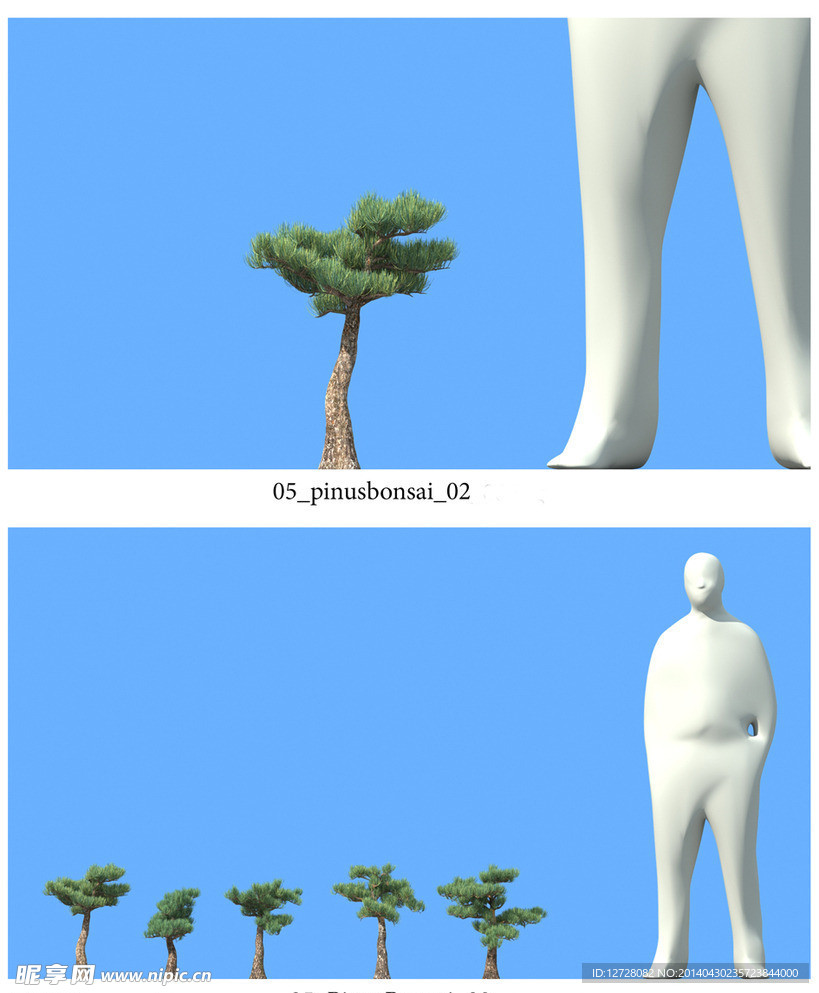 松树模型