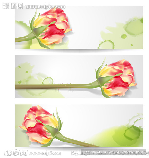 手绘花卉