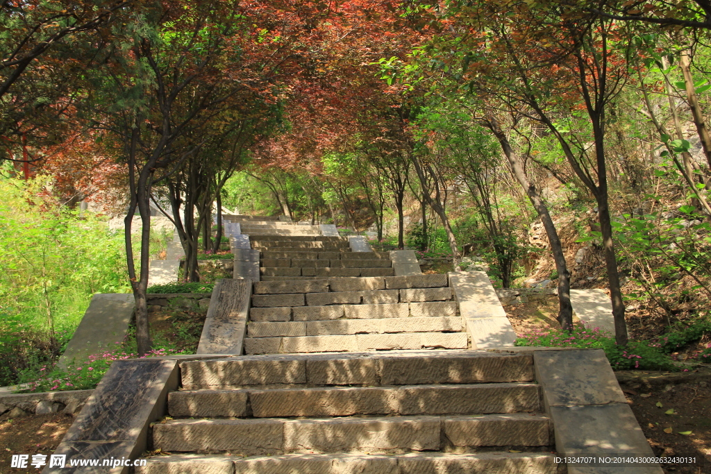 古寺阶梯