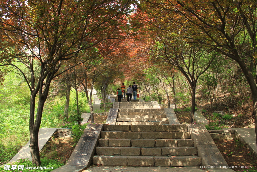 古寺阶梯