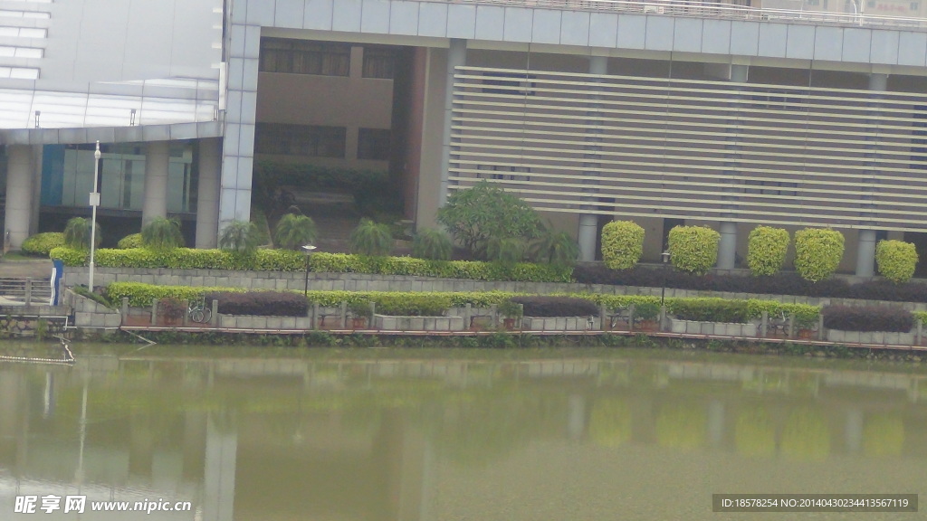 学校 湖边