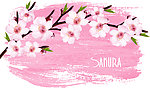 桃花樱花花卡