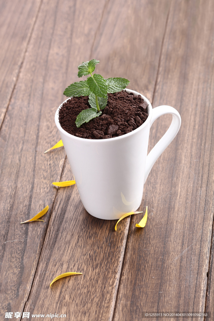 盆栽奶茶