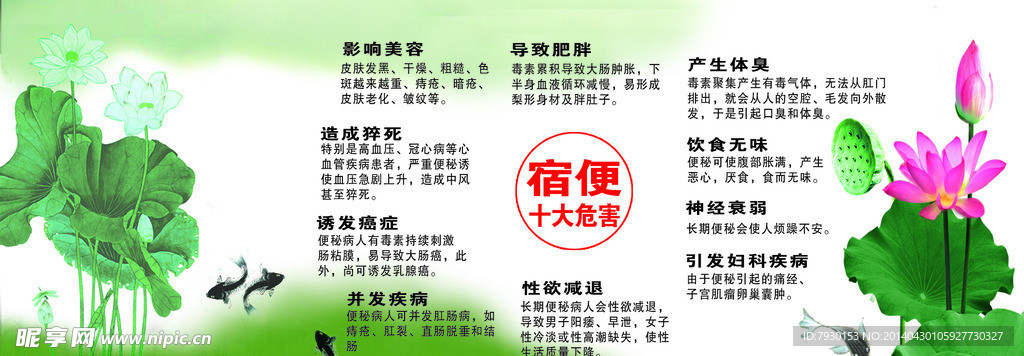 排毒美容卡片