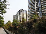 城市