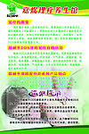 理疗 养生