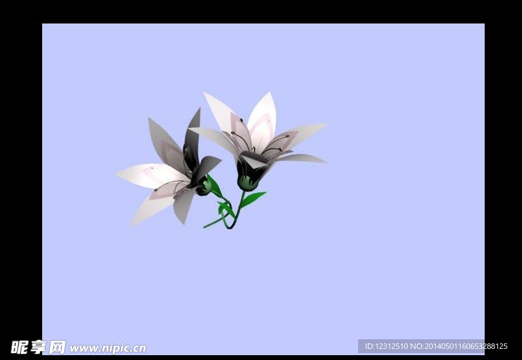 百合花3D模型
