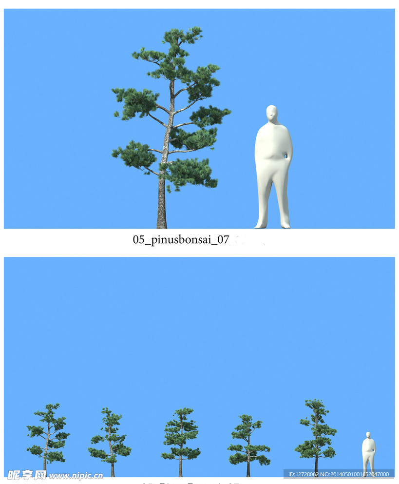 松树模型
