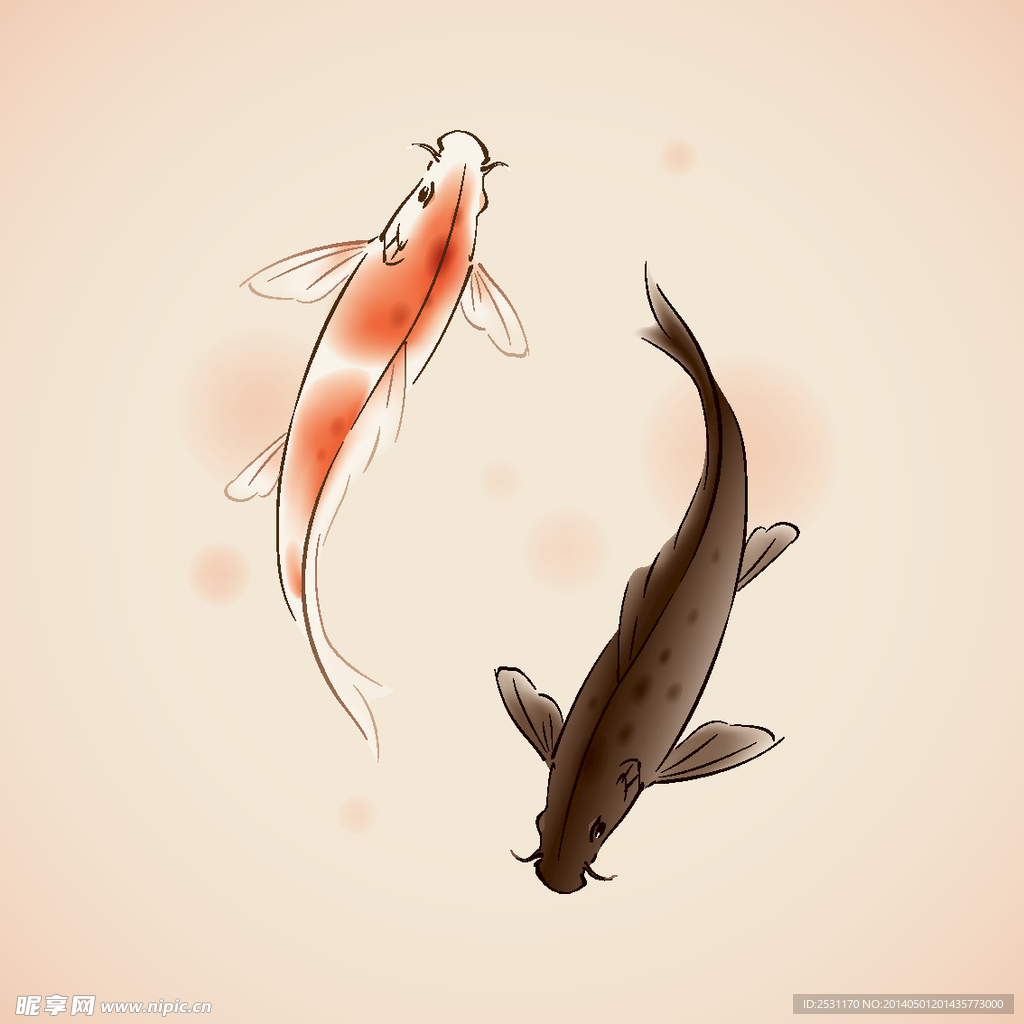 鲤鱼