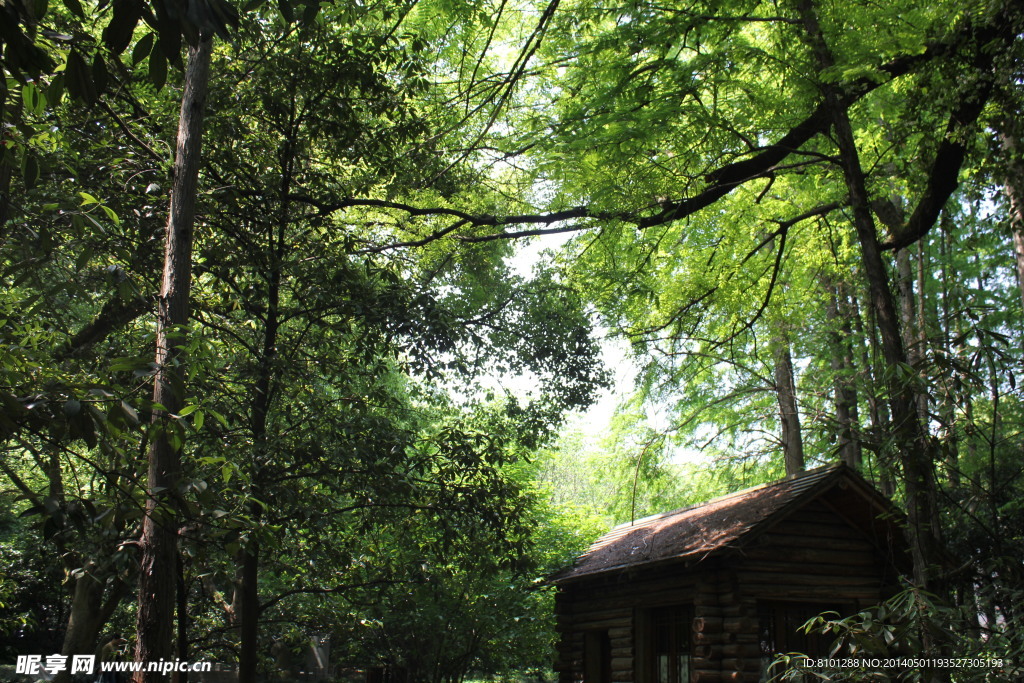 西湖小屋