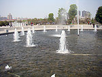 白鹭洲公园