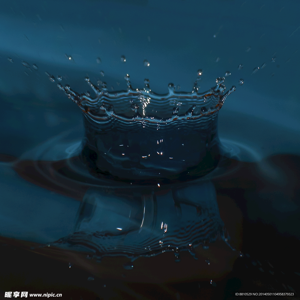 水之冠