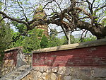 嵩岳寺外景