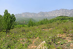 嵩山 太室山