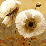 虞美人高清画芯
