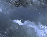 水视频素材