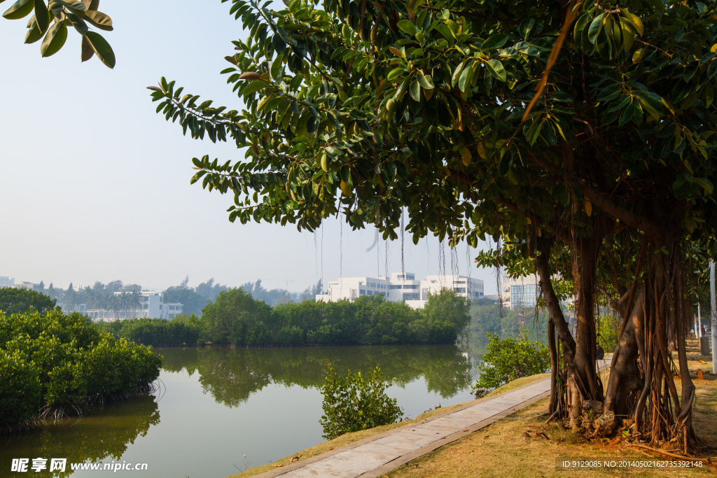 海南大学