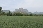 少室山景色