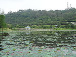 虎门石洞森林公园