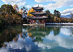 森林公园