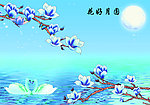 玉兰花 图片