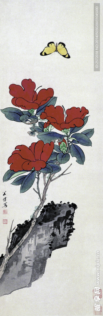 山茶引蝶
