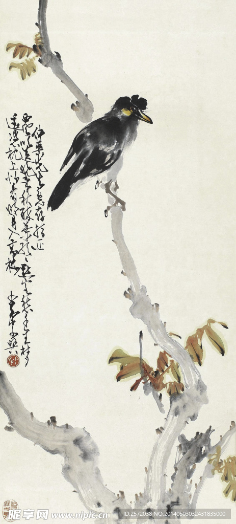 赵少昂 花鸟画