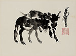 两只驴