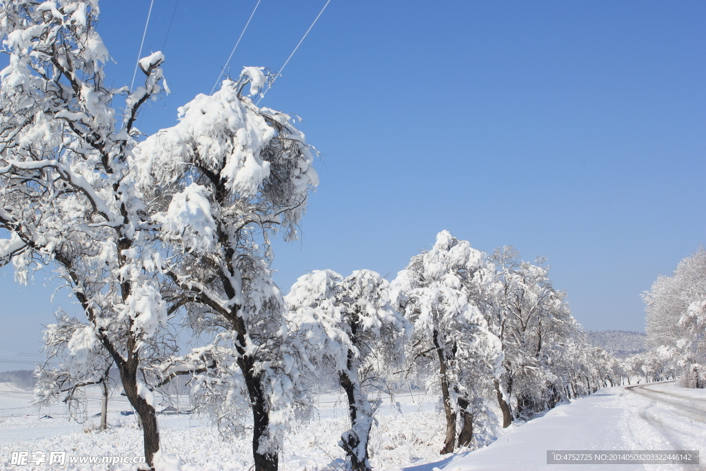 塞北的雪