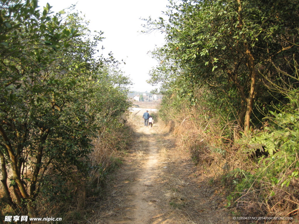 山间小路