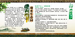 生态园中国风 古典